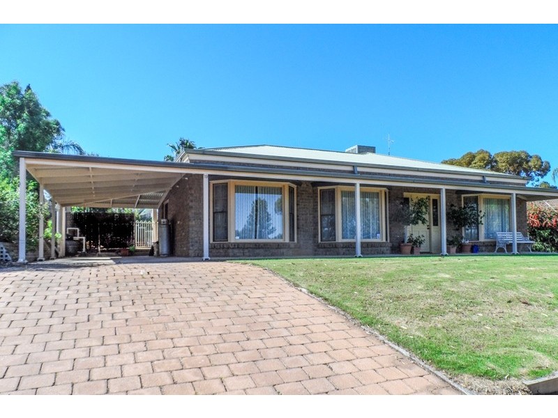 19 Dorothy Avenue, Paringa SA 5340