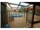 702 Kingston Road, Moorook SA 5332