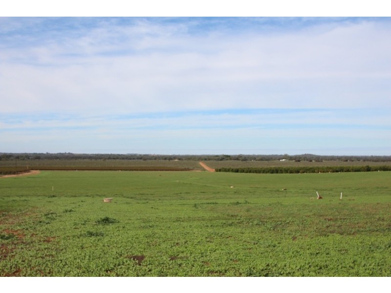 Lot 82 Lower Winkie Road, Winkie SA 5343