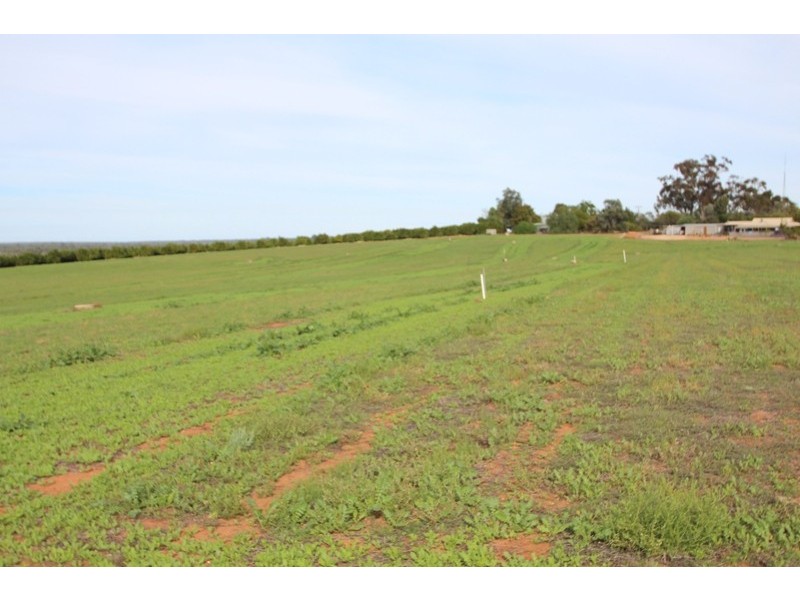 Lot 82 Lower Winkie Road, Winkie SA 5343