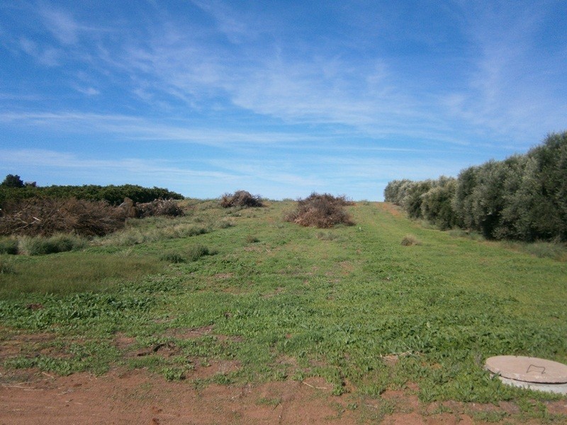 20 Crocker Road, Ramco SA 5322