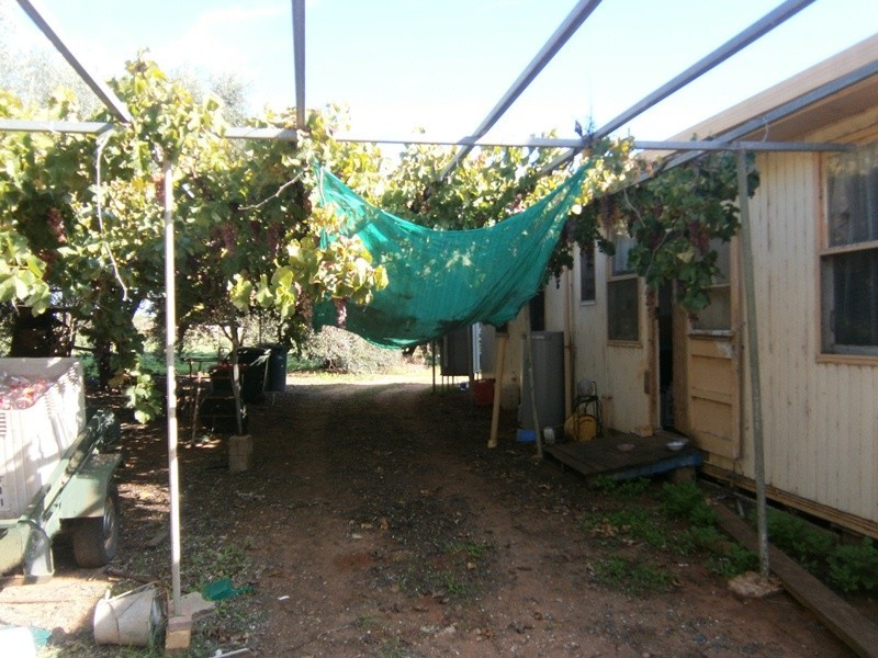 20 Crocker Road, Ramco SA 5322