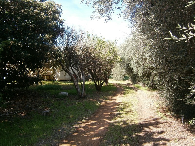 20 Crocker Road, Ramco SA 5322