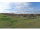 305 Old Cooltong Road, Renmark SA 5341