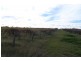 305 Old Cooltong Road, Renmark SA 5341