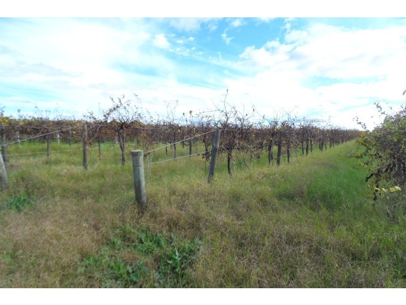 305 Old Cooltong Road, Renmark SA 5341