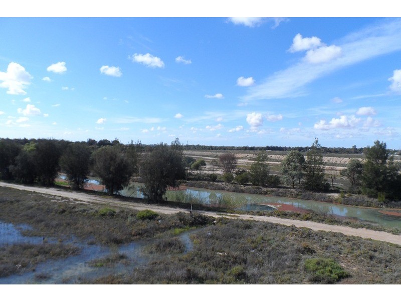 216 Ral Ral Avenue, Renmark SA 5341