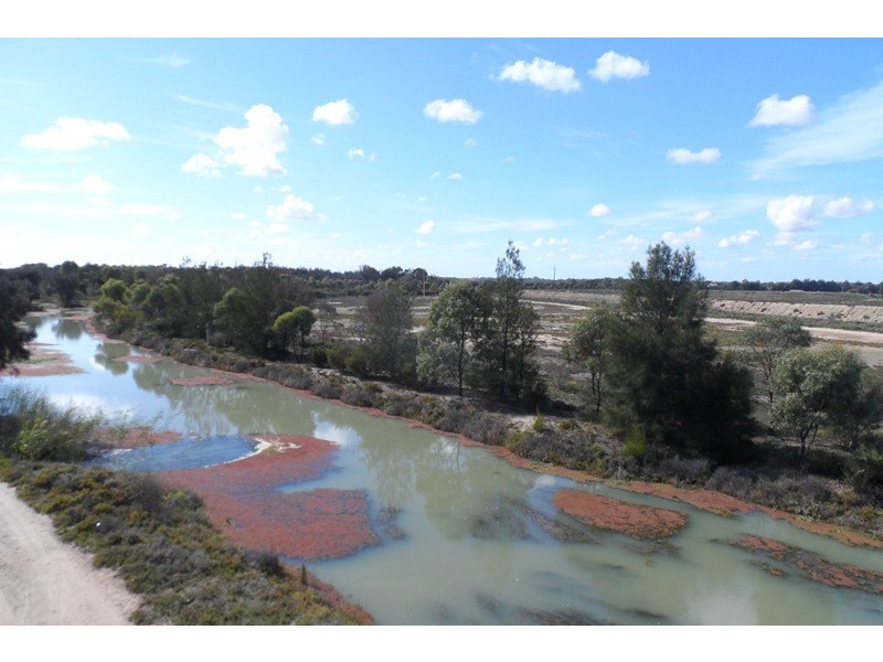 216 Ral Ral Avenue, Renmark SA 5341