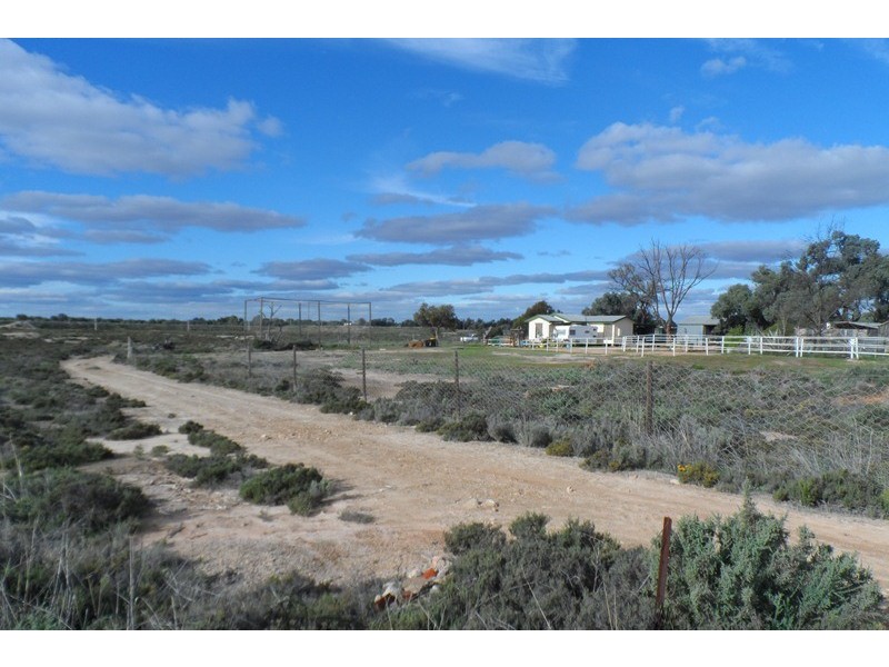 216 Ral Ral Avenue, Renmark SA 5341