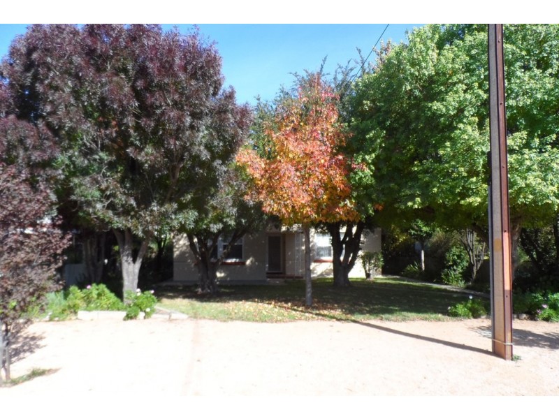 71 Sixteenth Street, Renmark SA 5341