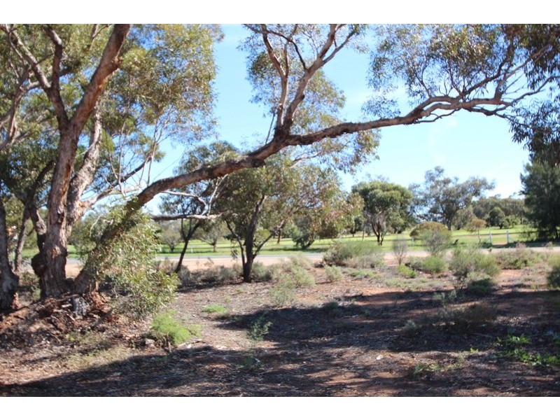 Lot 39 Old Sturt Highway, Berri SA 5343