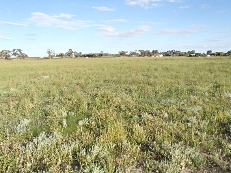 Allotment 11 Goolwa Street, Renmark SA 5341