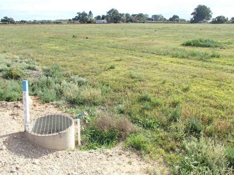 Allotment 11 Goolwa Street, Renmark SA 5341