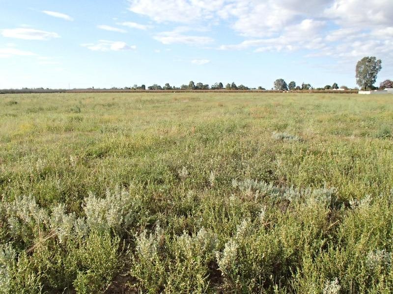 Allotment 11 Goolwa Street, Renmark SA 5341