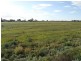 Allotment 11 Goolwa Street, Renmark SA 5341