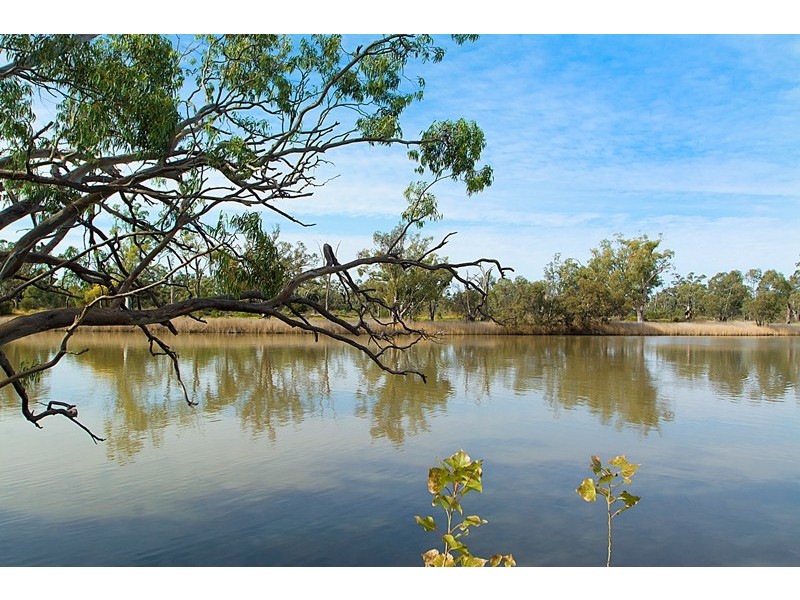 60 Morphetts Flat Road, Morgan SA 5320