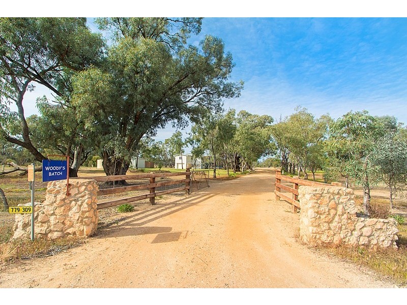 60 Morphetts Flat Road, Morgan SA 5320