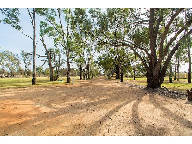 60 Morphetts Flat Road, Morgan SA 5320