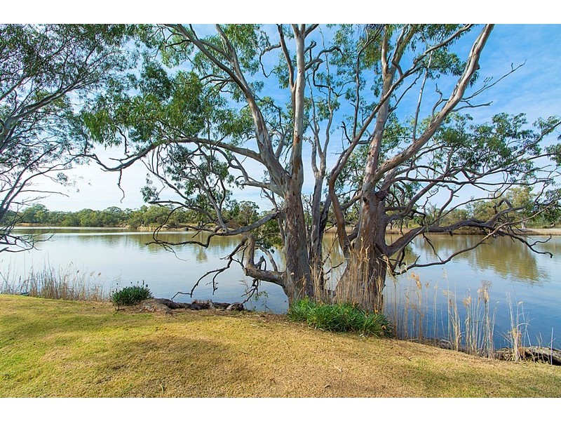 60 Morphetts Flat Road, Morgan SA 5320