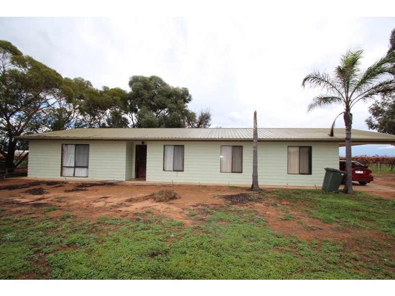 122 Hoffman Road, Loveday SA 5345