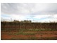 122 Hoffman Road, Loveday SA 5345