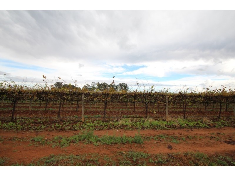122 Hoffman Road, Loveday SA 5345