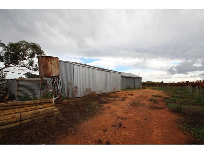 122 Hoffman Road, Loveday SA 5345