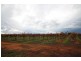 122 Hoffman Road, Loveday SA 5345