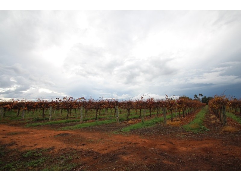 122 Hoffman Road, Loveday SA 5345