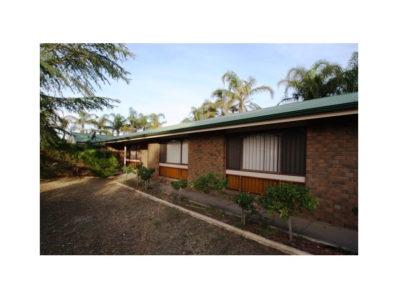 156 and Lot 22 ALAMEIN AVE, Loxton SA 5333