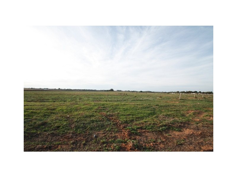 239 ALAMEIN AVE, Loxton SA 5333