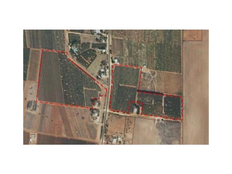 Lot 55 and 88 ANDERSON RD, Loxton SA 5333