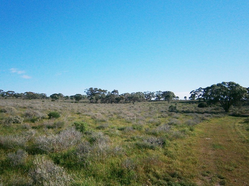 248 Bedrock Road, Swan Reach SA 5354