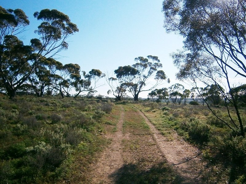 248 Bedrock Road, Swan Reach SA 5354