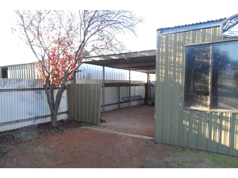 4 Barrington Street, Renmark SA 5341