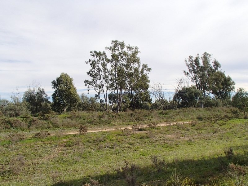 51 Flinders Street, Renmark SA 5341