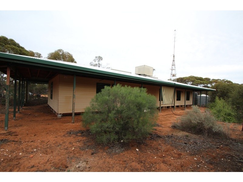 907 Thiele Road, Loveday SA 5345
