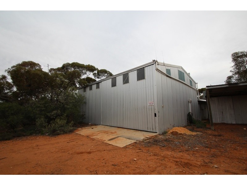 907 Thiele Road, Loveday SA 5345