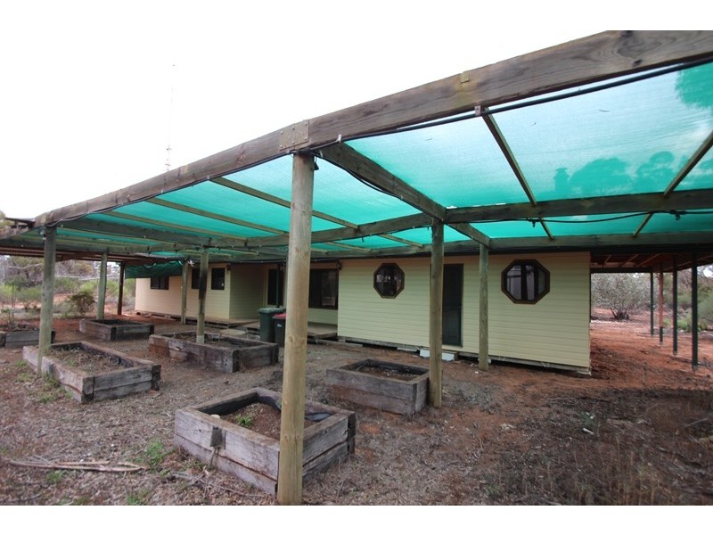 907 Thiele Road, Loveday SA 5345