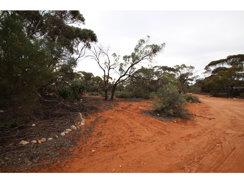 907 Thiele Road, Loveday SA 5345