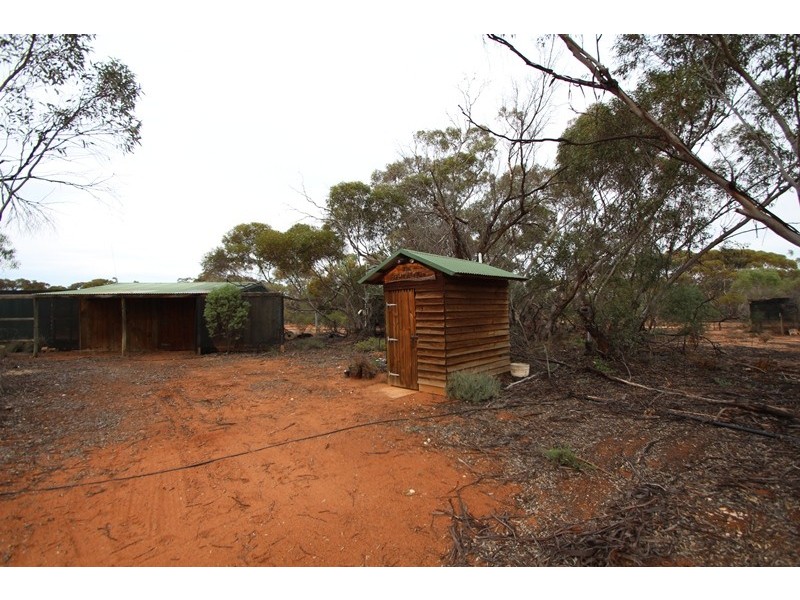 907 Thiele Road, Loveday SA 5345