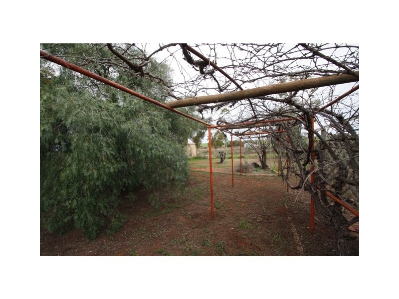 994 Heinrich Road, Moorook SA 5332