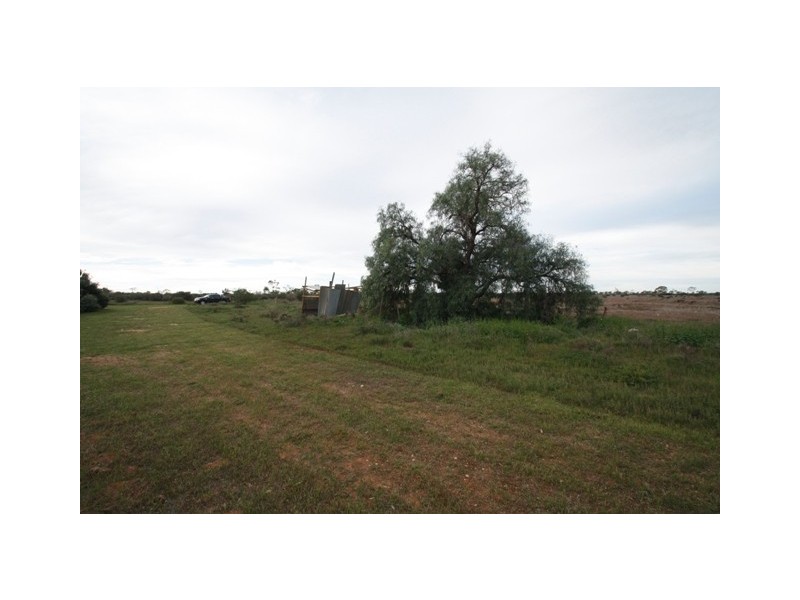 994 Heinrich Road, Moorook SA 5332