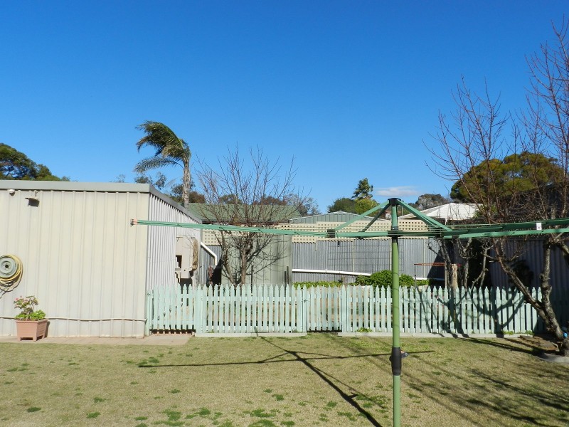 103 Kay Avenue, Berri SA 5343