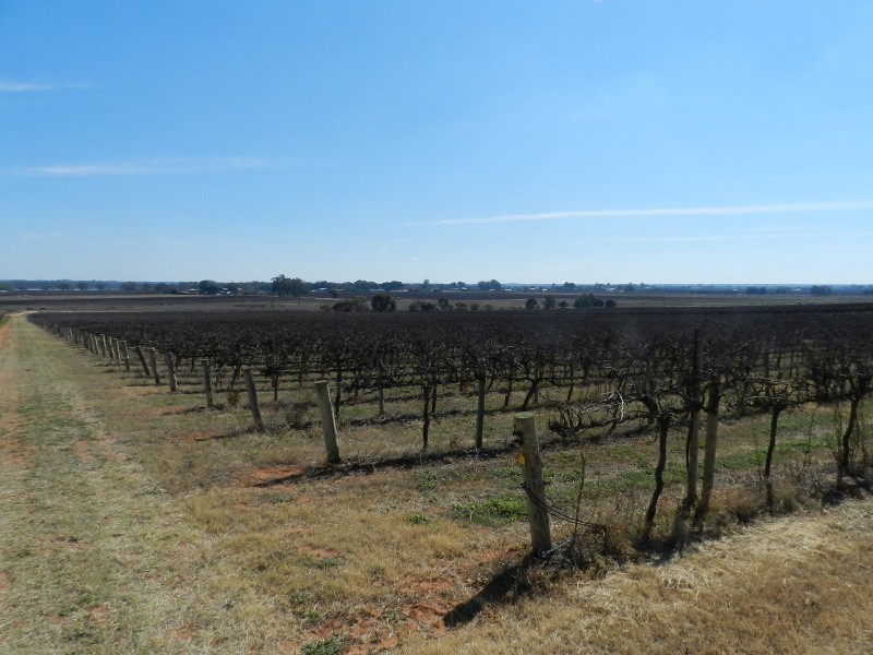 121 Elephant Trunk Road, Cobdogla SA 5346