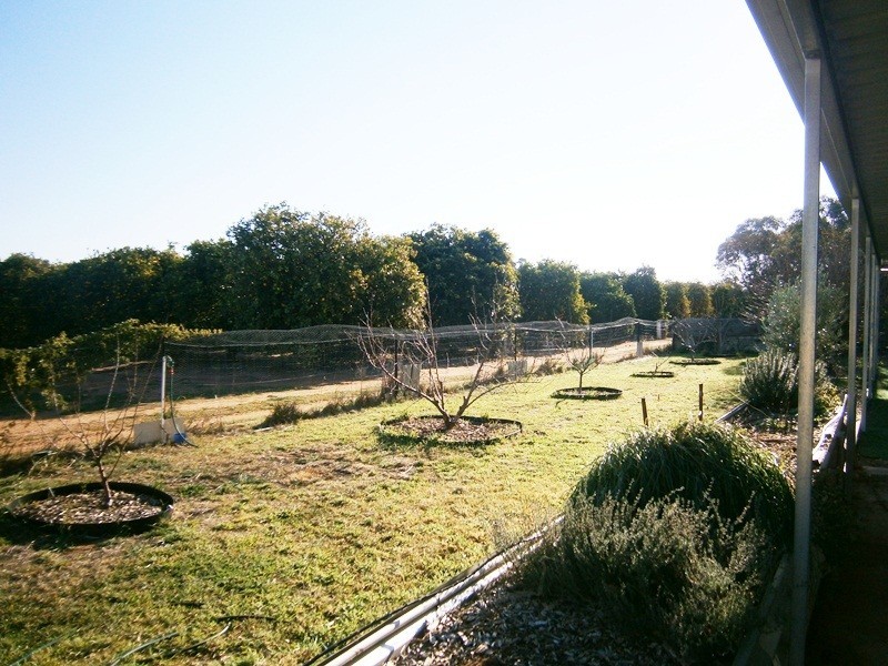 7 Cameron Street, Sunlands SA 5322