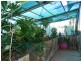 2 Gillespie Street, Berri SA 5343