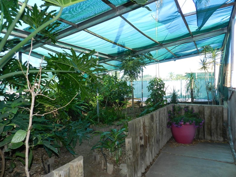 2 Gillespie Street, Berri SA 5343