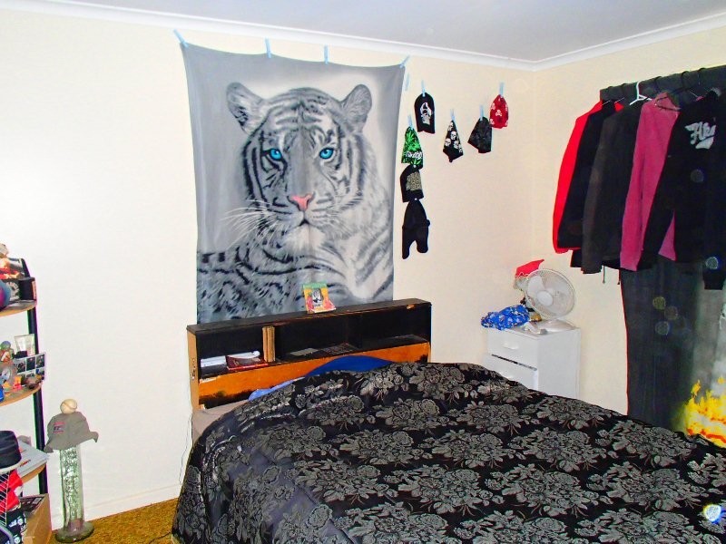 25 Banksia Street, Renmark SA 5341