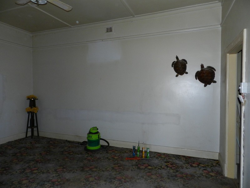 30 Lake Avenue, Barmera SA 5345